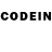 Псилоцибиновые грибы GOLDEN TEACHER NETWORK TJ