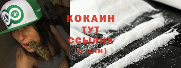 индика Верхний Тагил