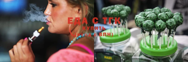 индика Верхний Тагил