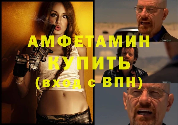 индика Верхний Тагил