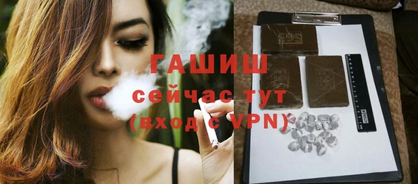 индика Верхний Тагил