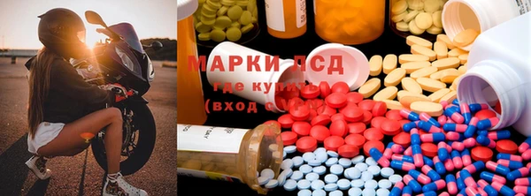 индика Верхний Тагил
