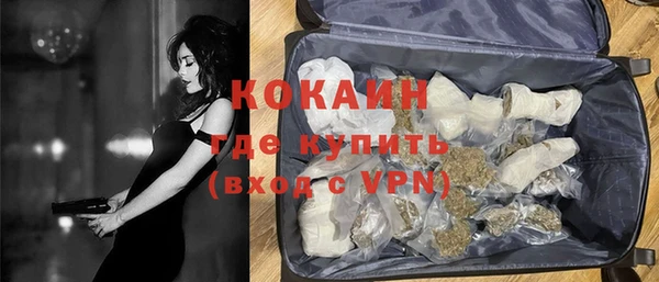 индика Верхний Тагил