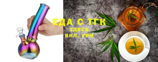 индика Верхний Тагил