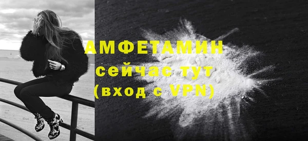 индика Верхний Тагил